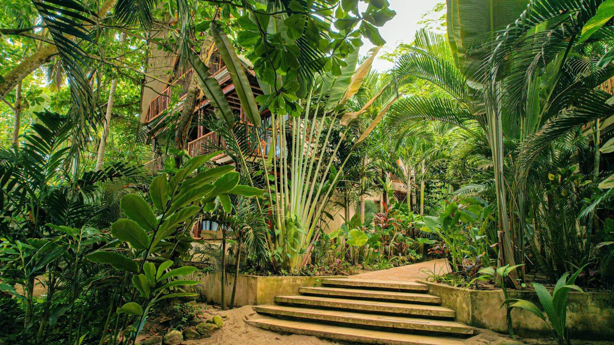 Masaya Tayrona & Beach Club Guachaca Exterior photo